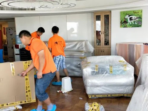 洛扎精品搬家公司